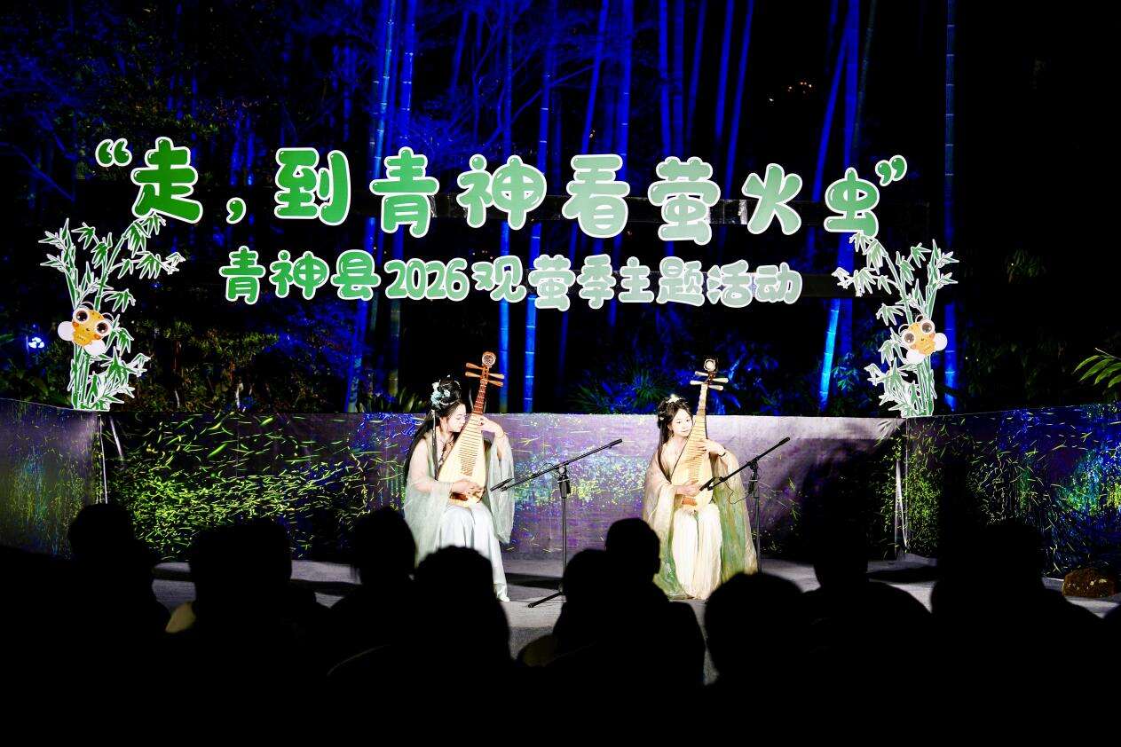 文档图片