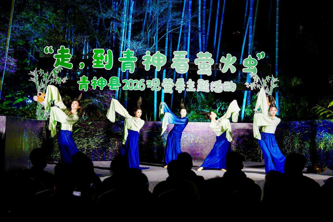 文档图片
