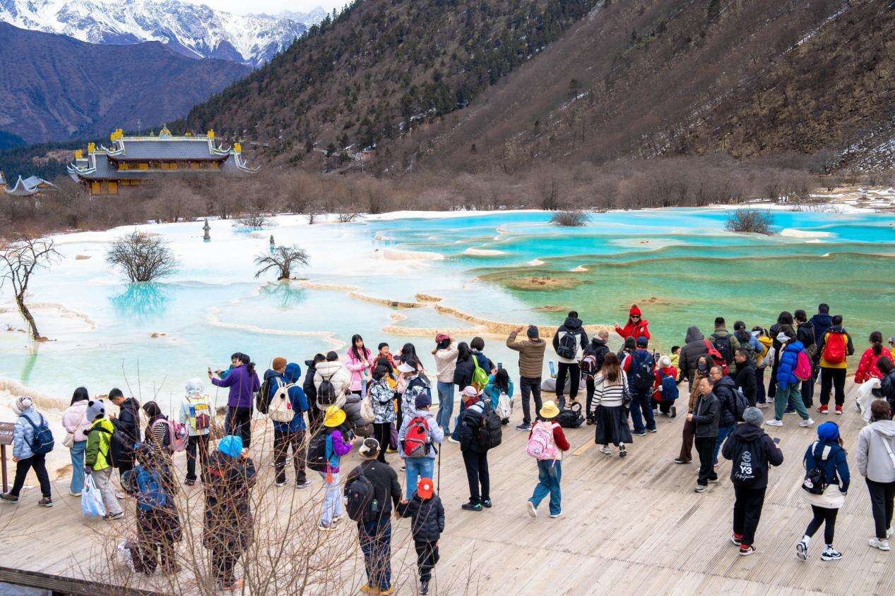 文档图片