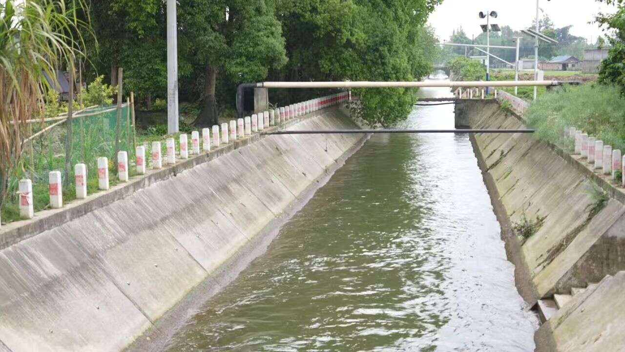 文档图片