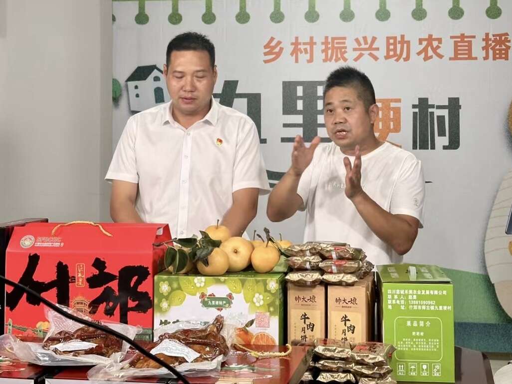 文档图片