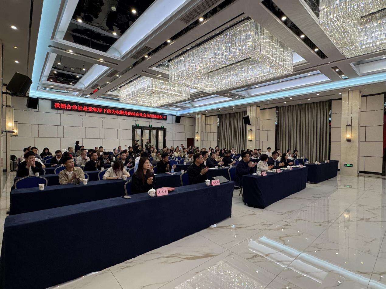文档图片
