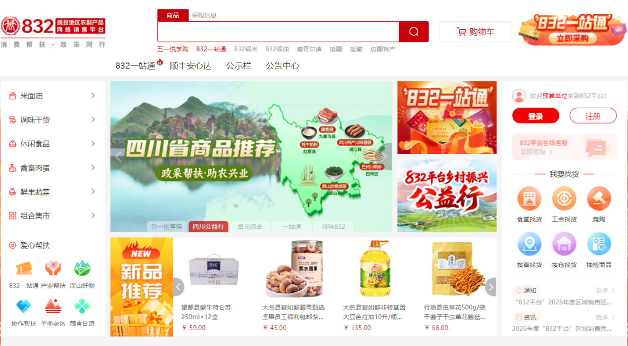 文档图片