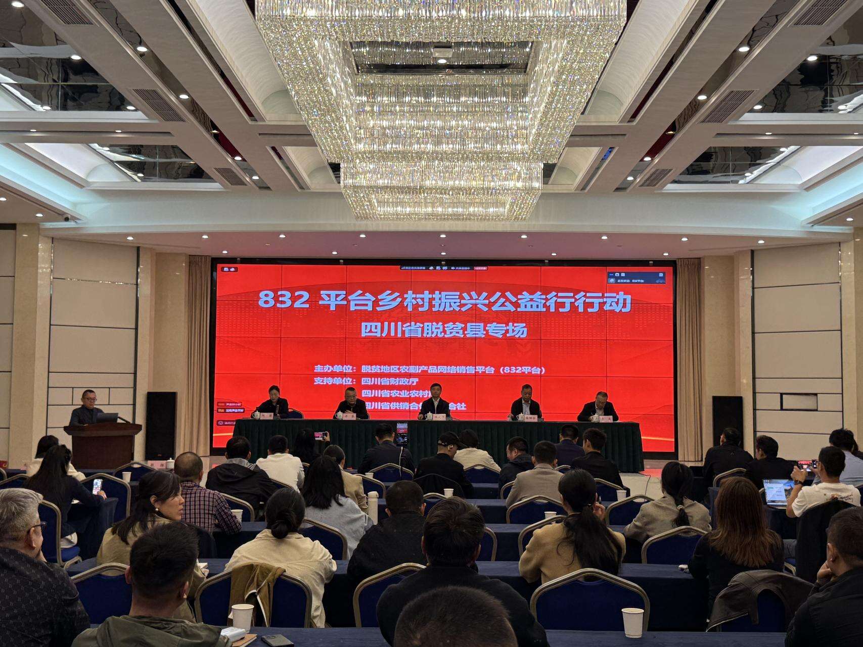 文档图片