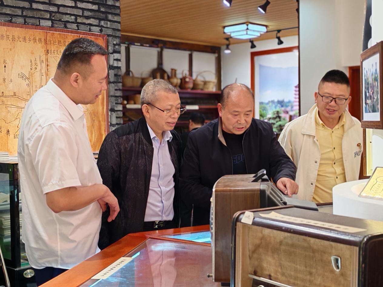 文档图片