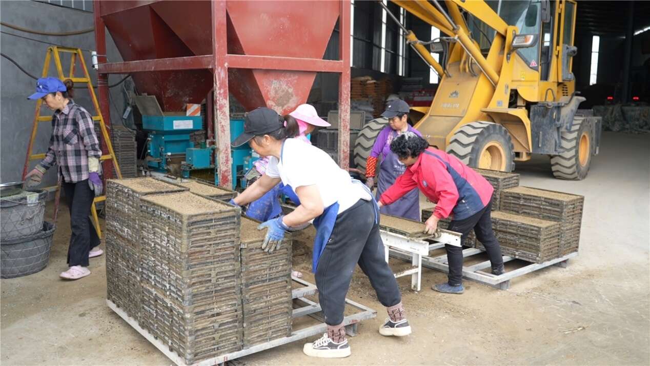 文档图片