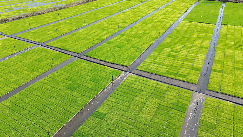 文档图片