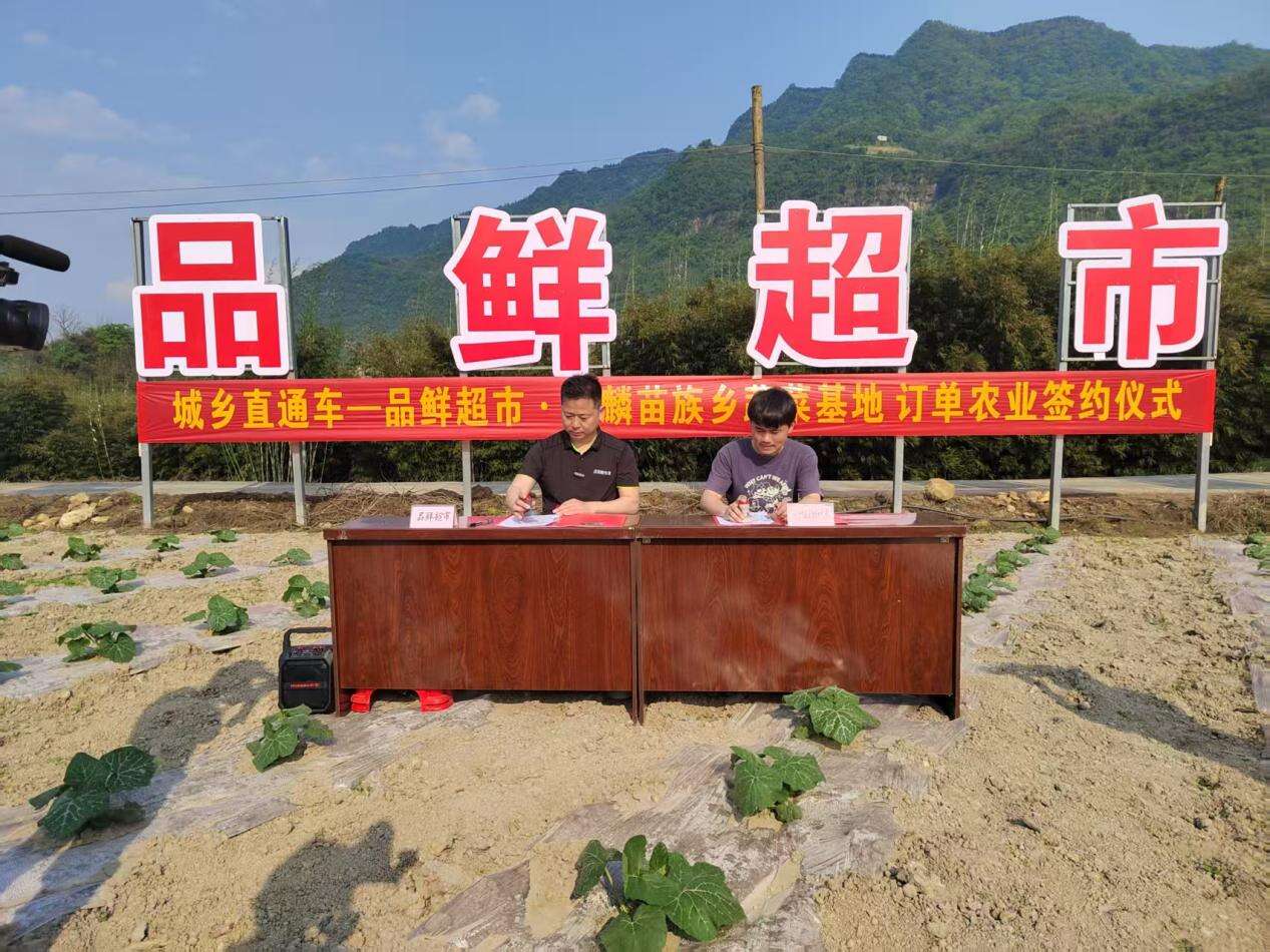 文档图片