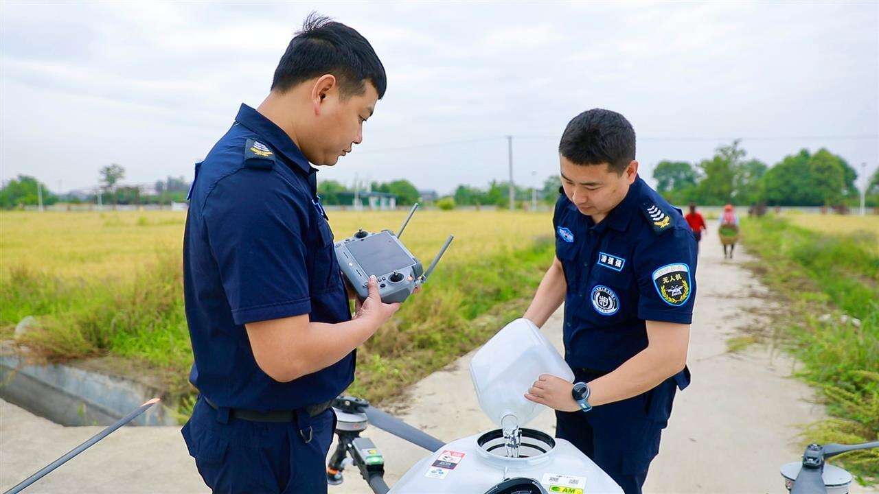 文档图片