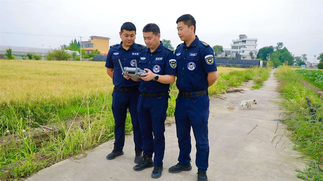 文档图片