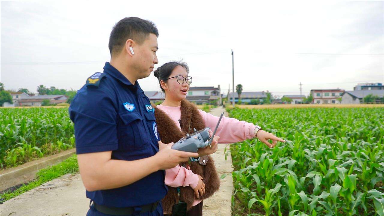 文档图片