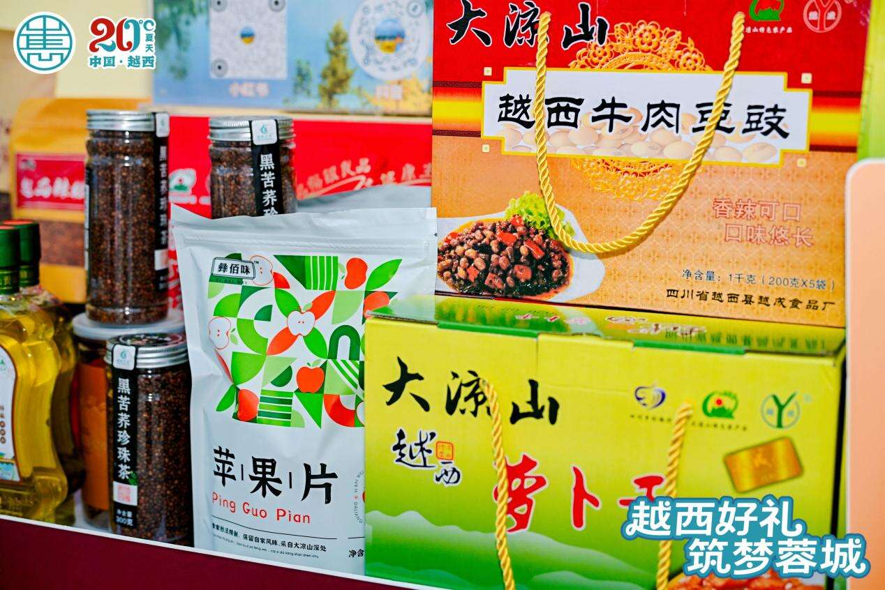 文档图片
