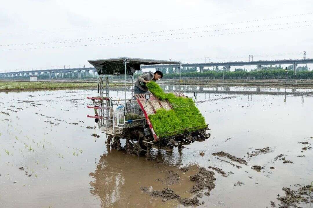 文档图片