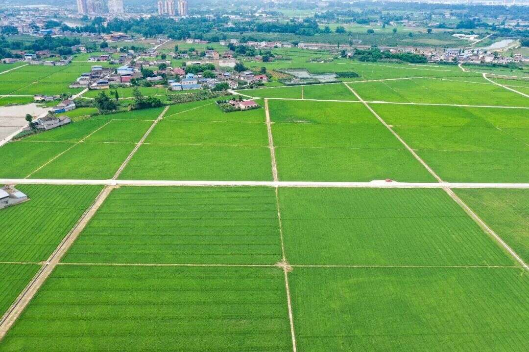 文档图片
