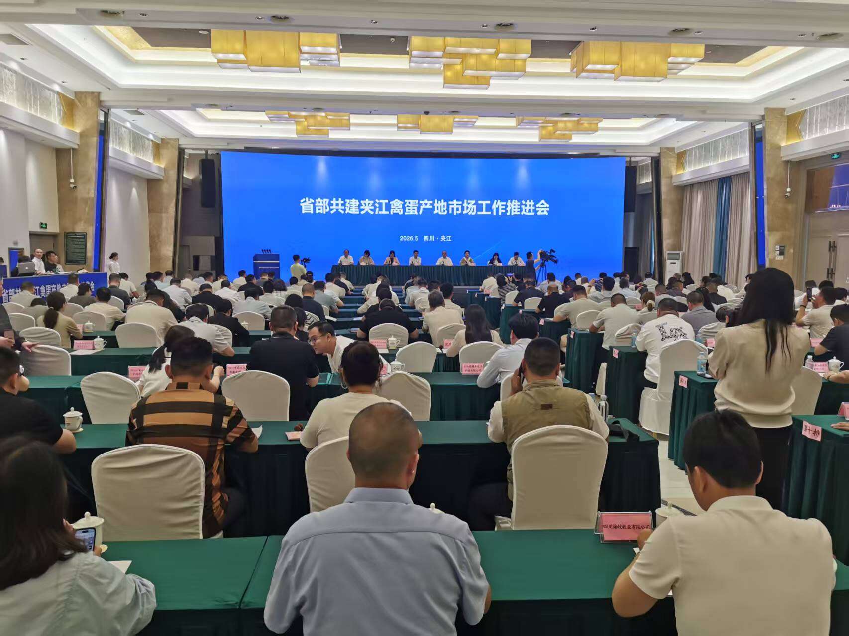 文档图片