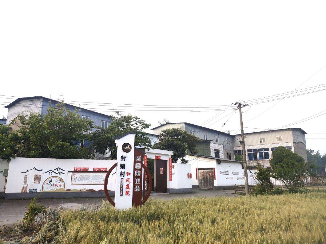 文档图片