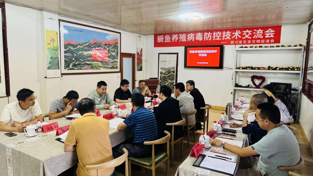 文档图片