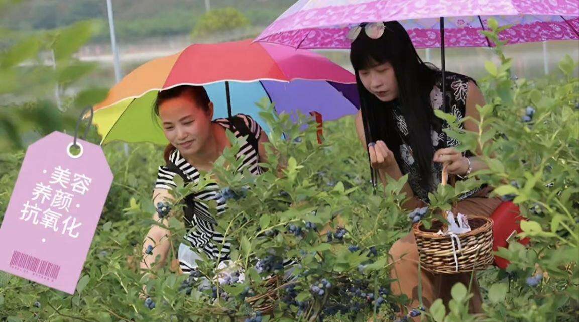 文档图片
