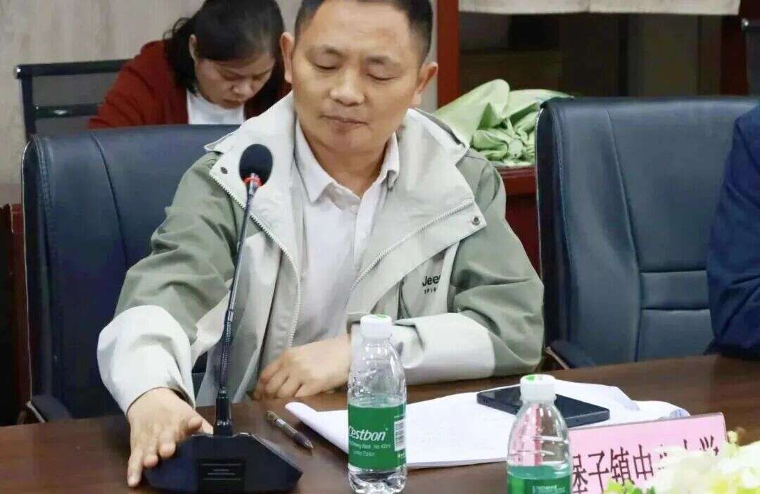 文档图片