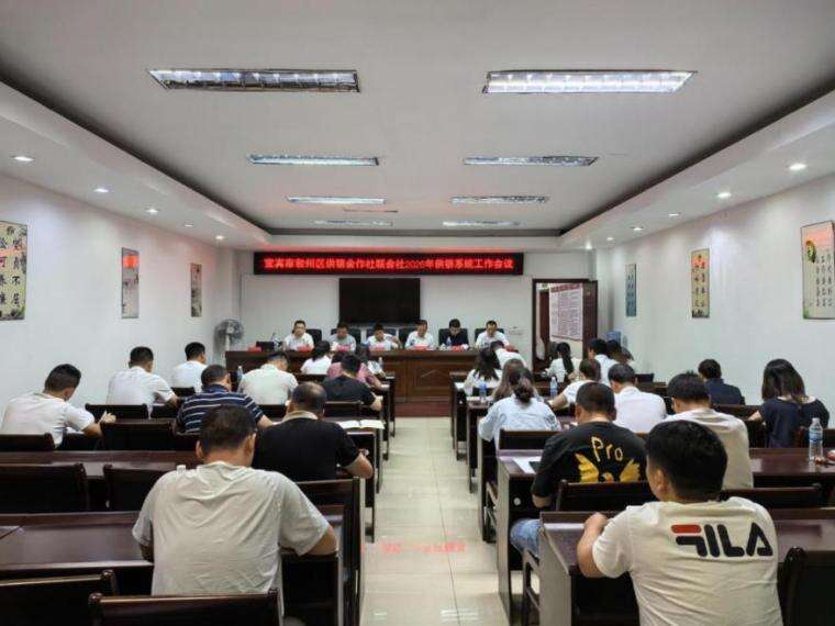 文档图片