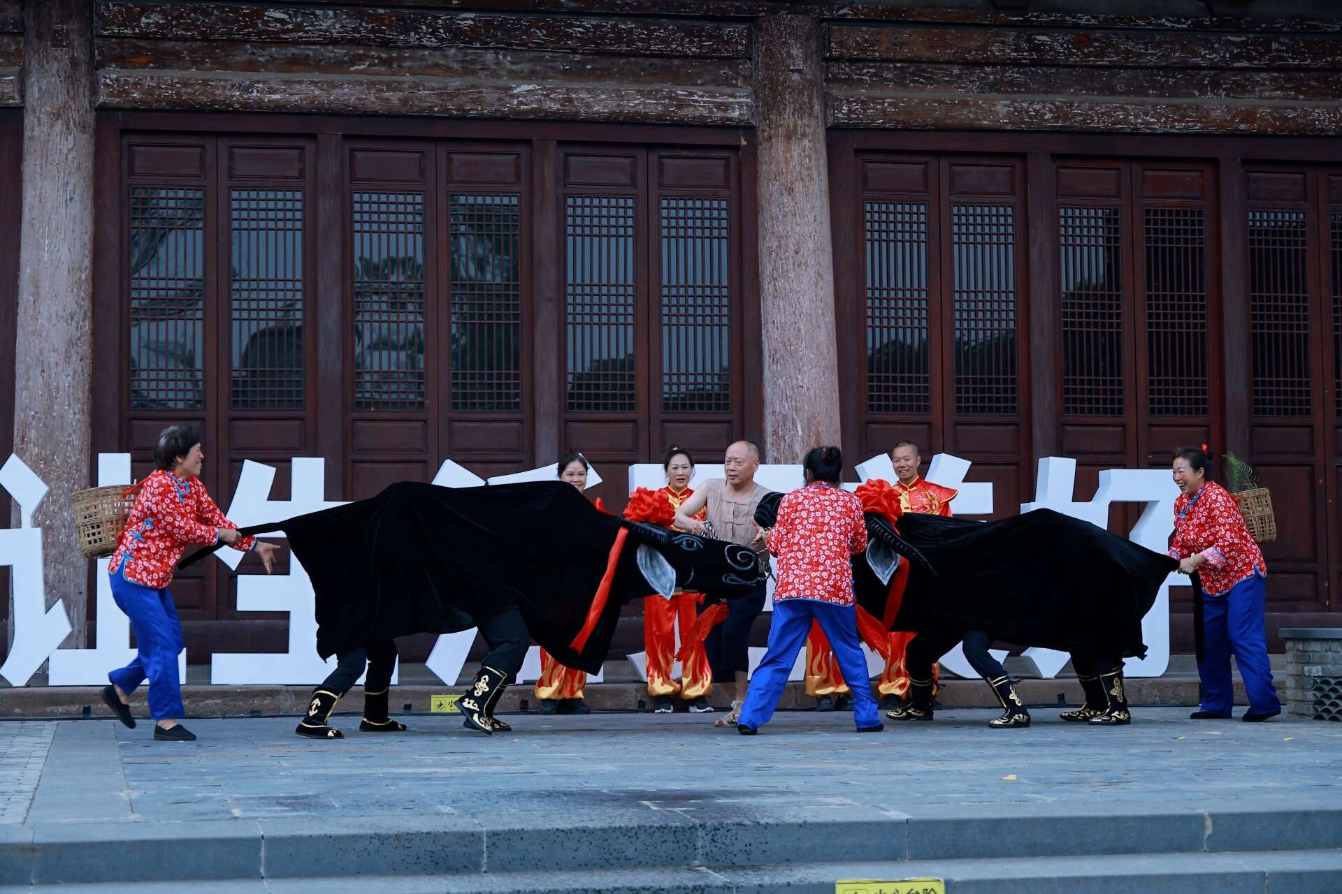 文档图片