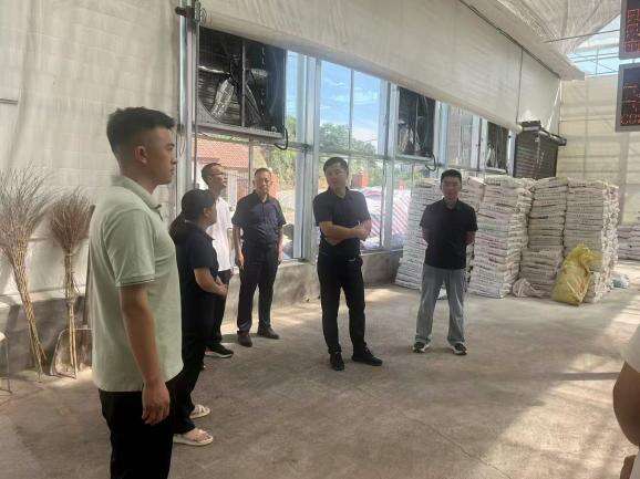 文档图片