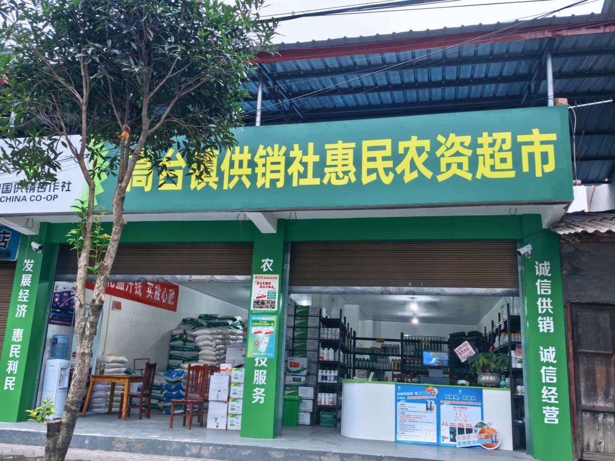 文档图片