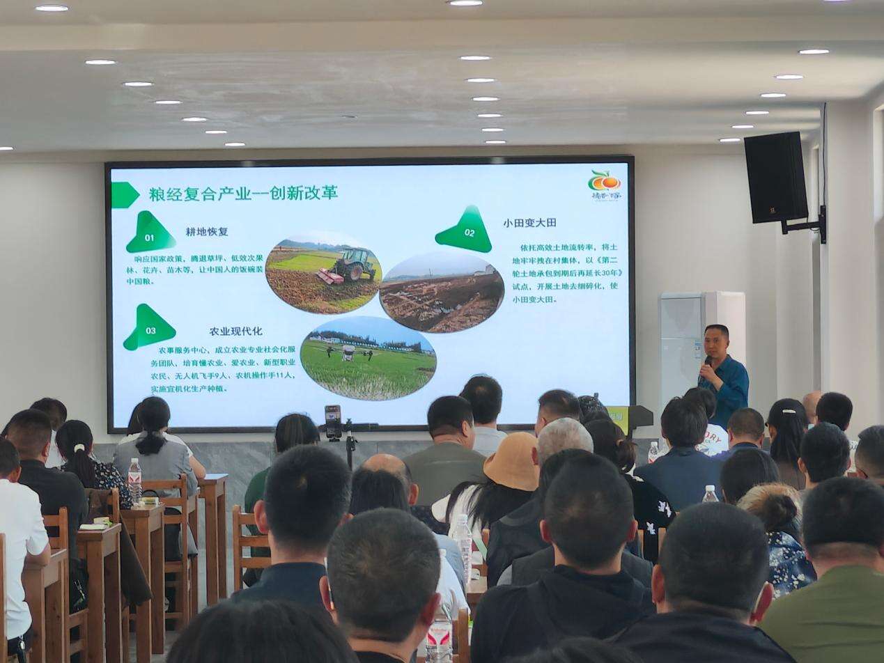 文档图片