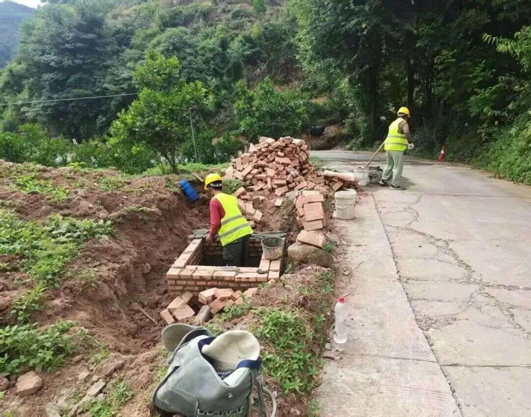 文档图片
