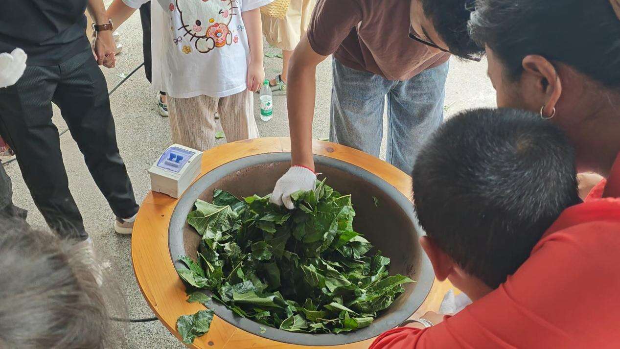 文档图片