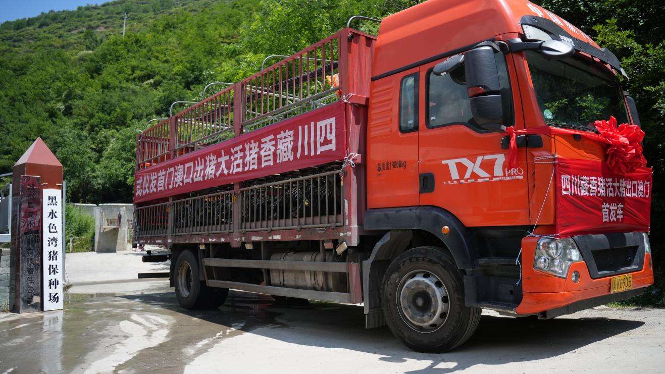 文档图片