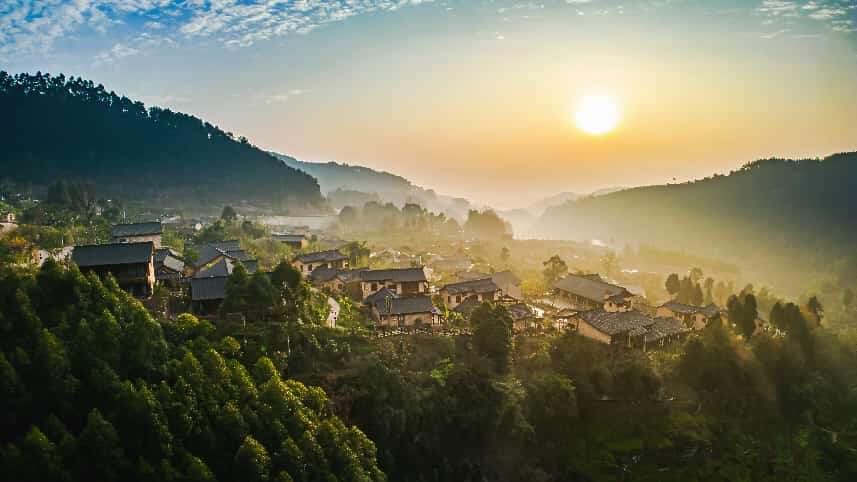 文档图片