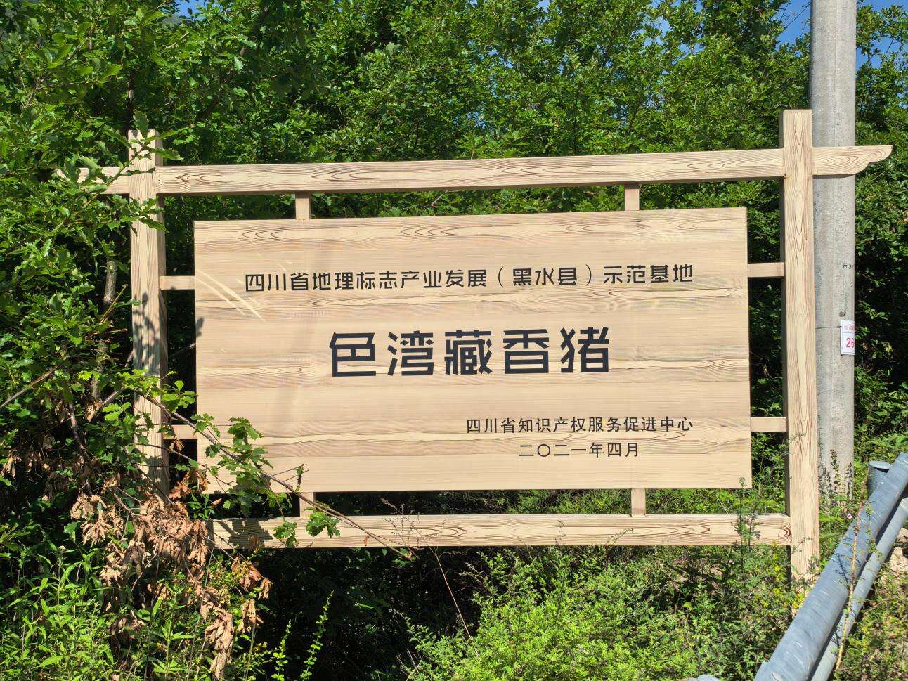 文档图片