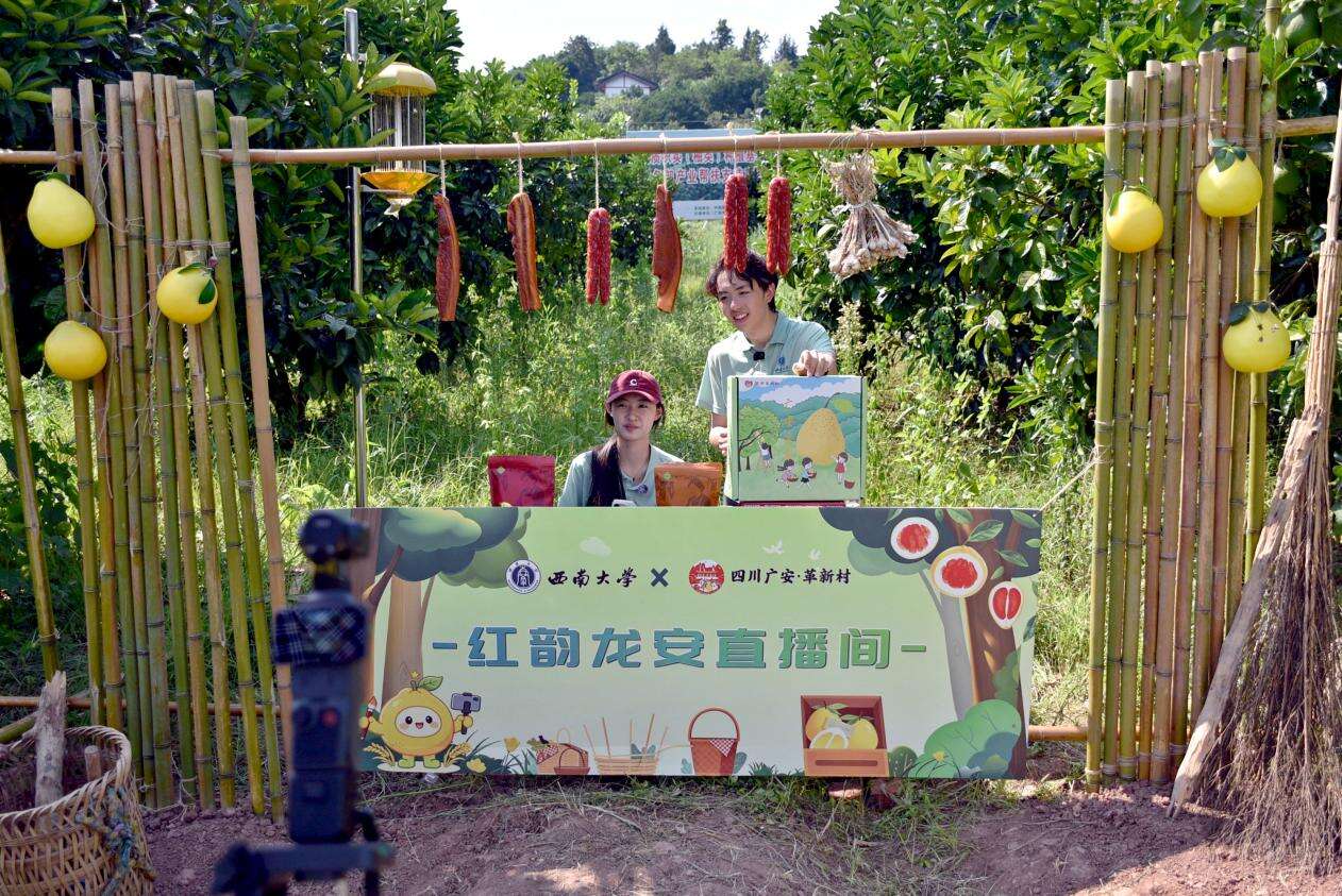文档图片
