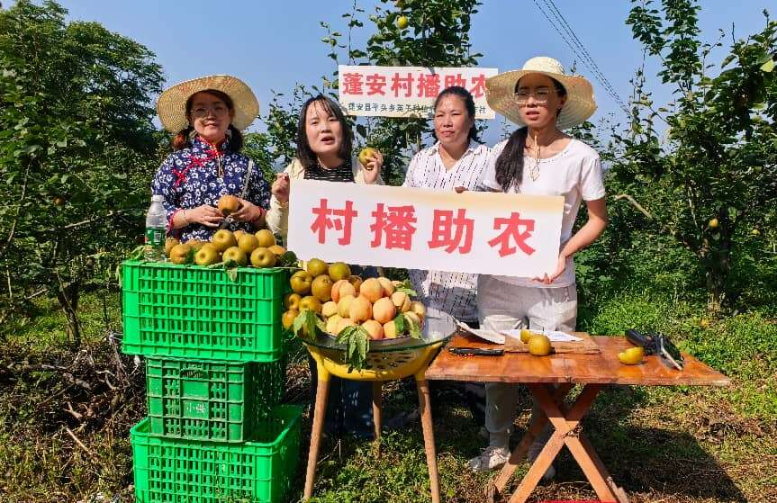 文档图片