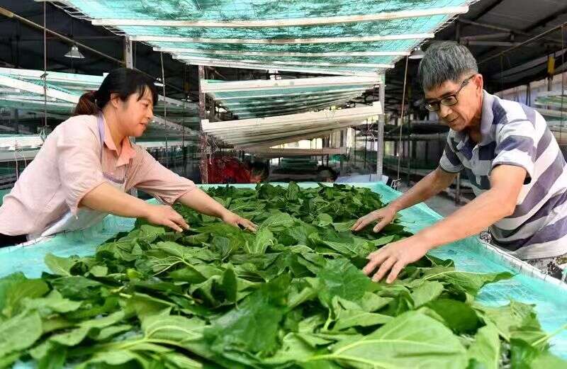 文档图片
