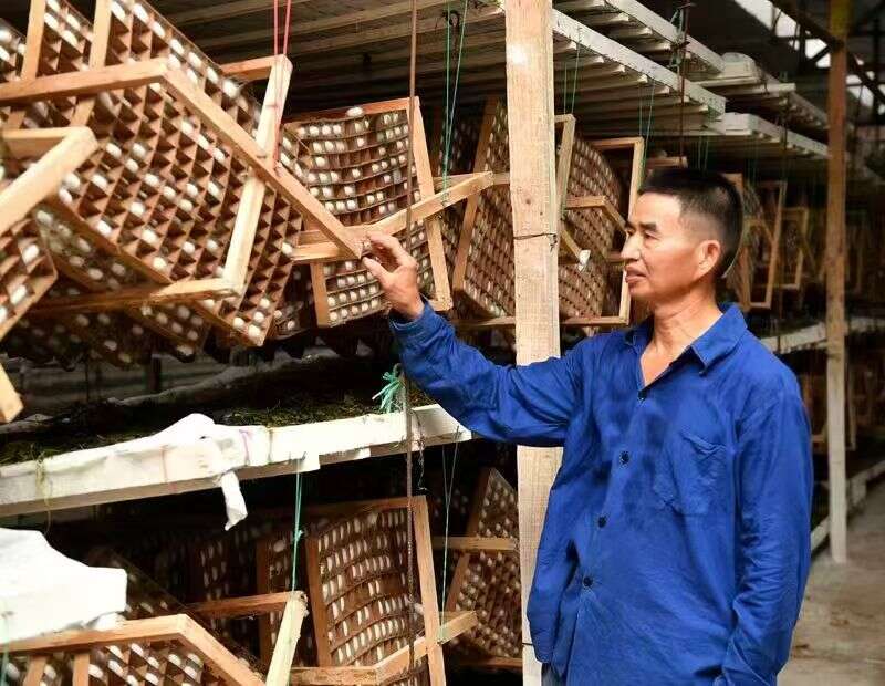 文档图片