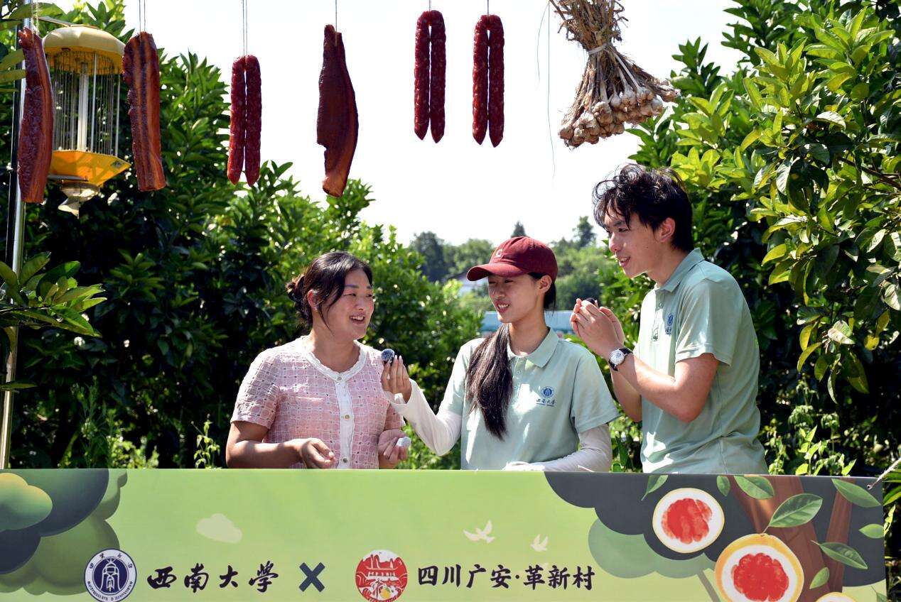 文档图片