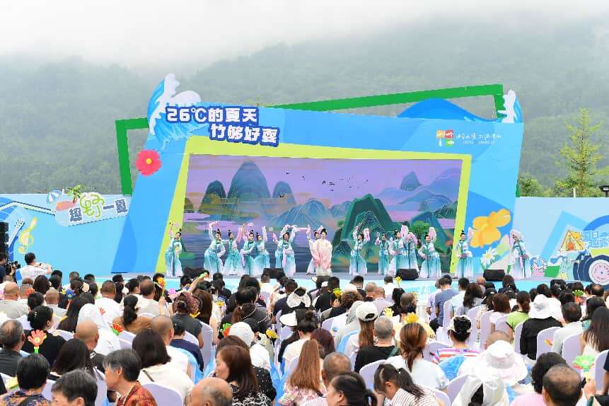 文档图片