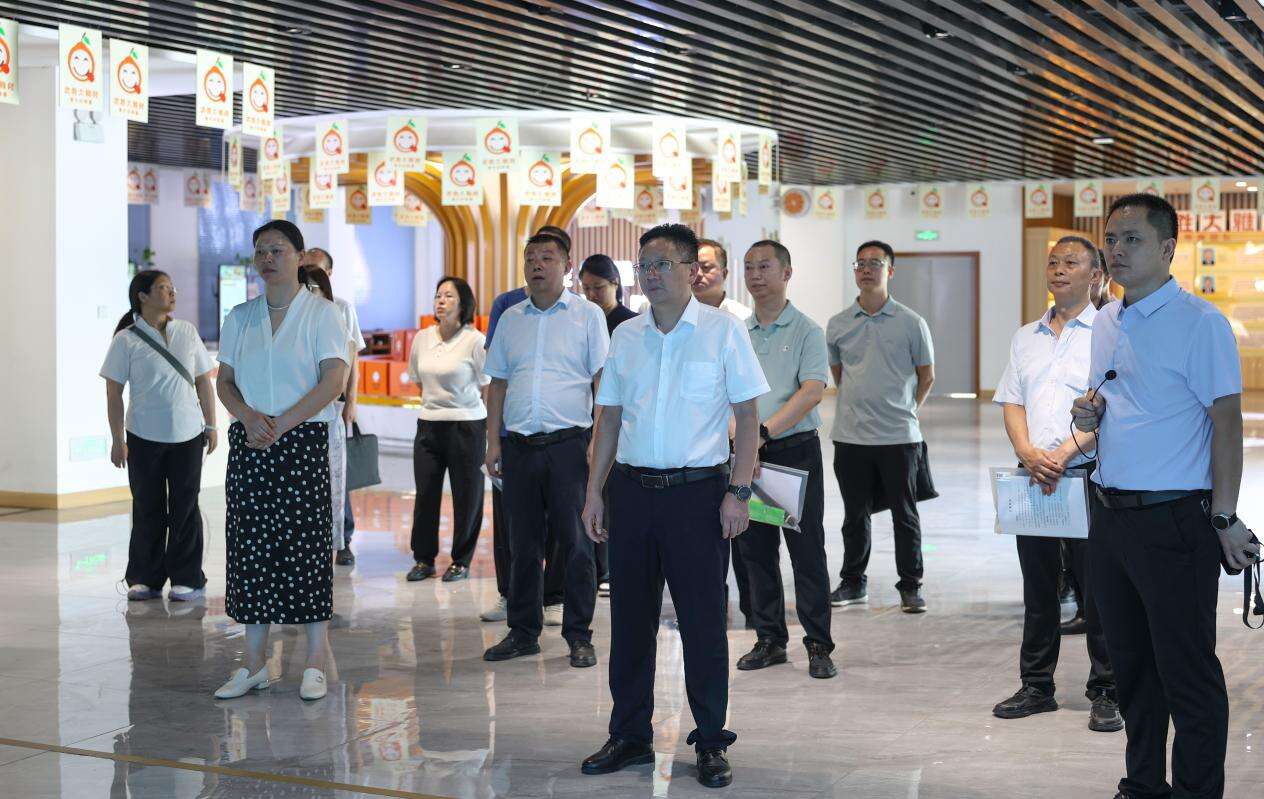文档图片