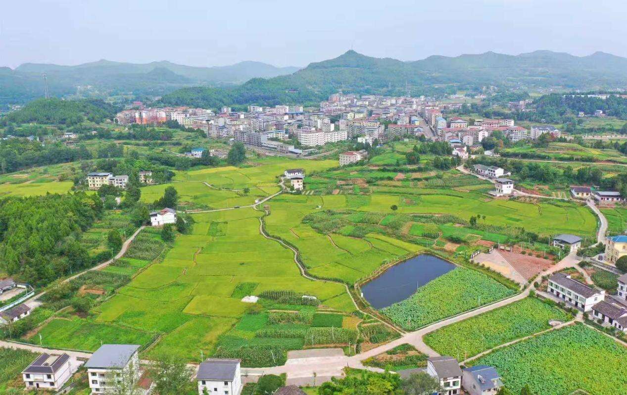 文档图片