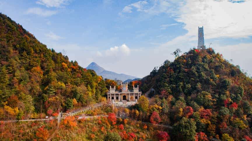 文档图片