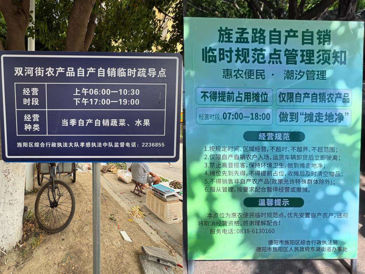 文档图片