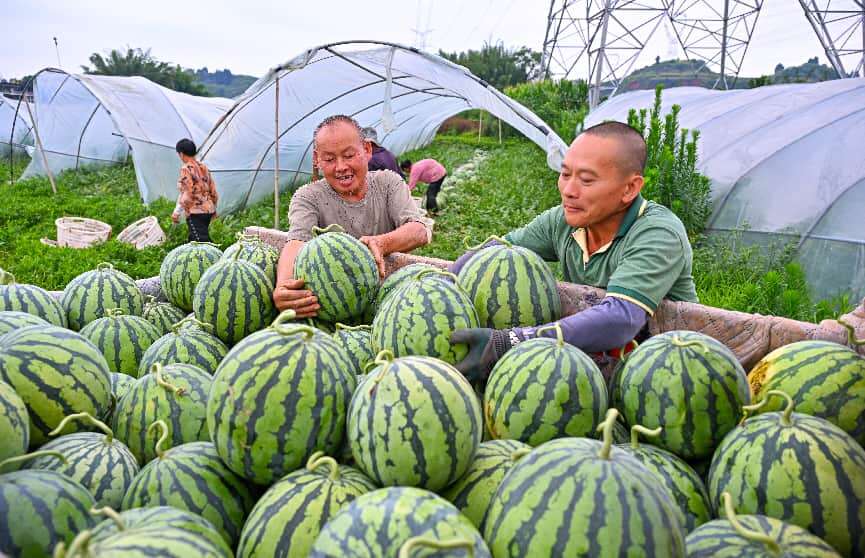 文档图片