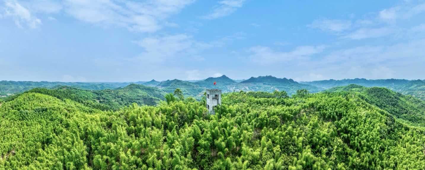 文档图片