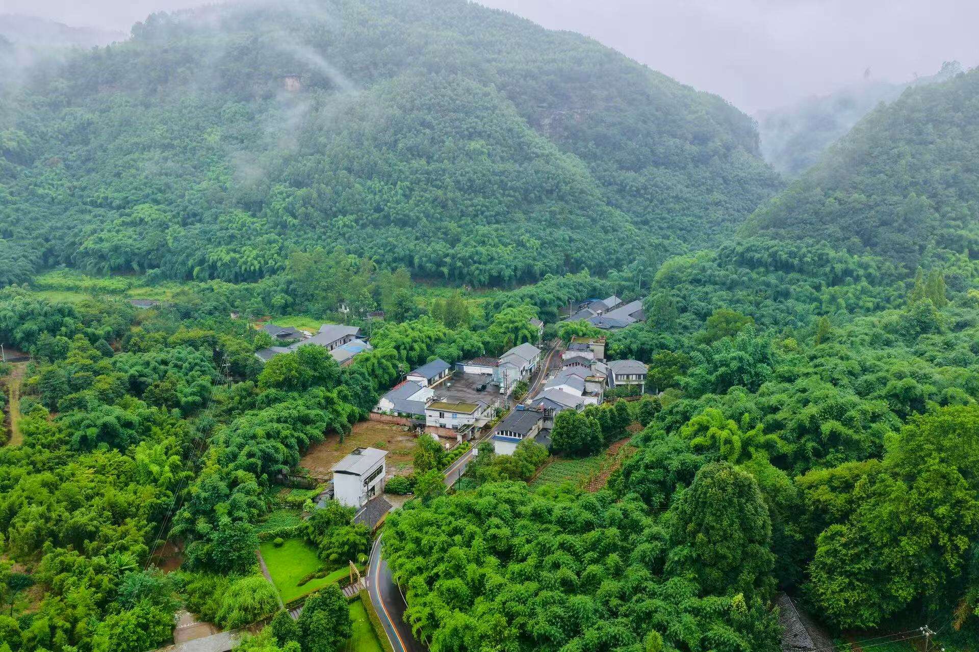文档图片