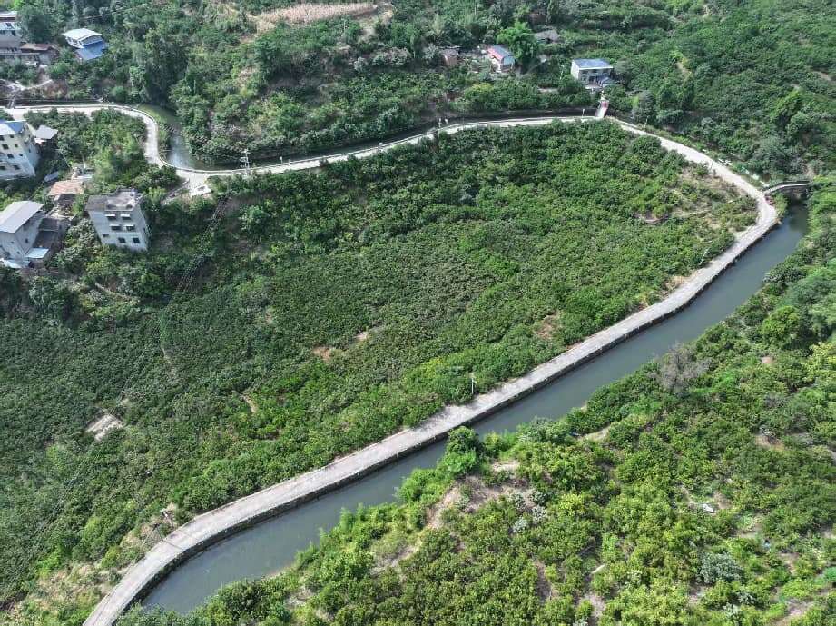 文档图片