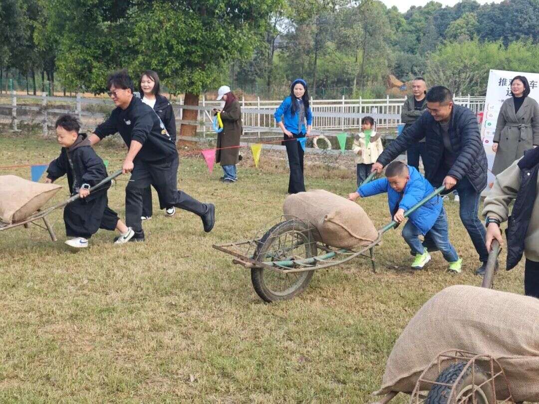 文档图片