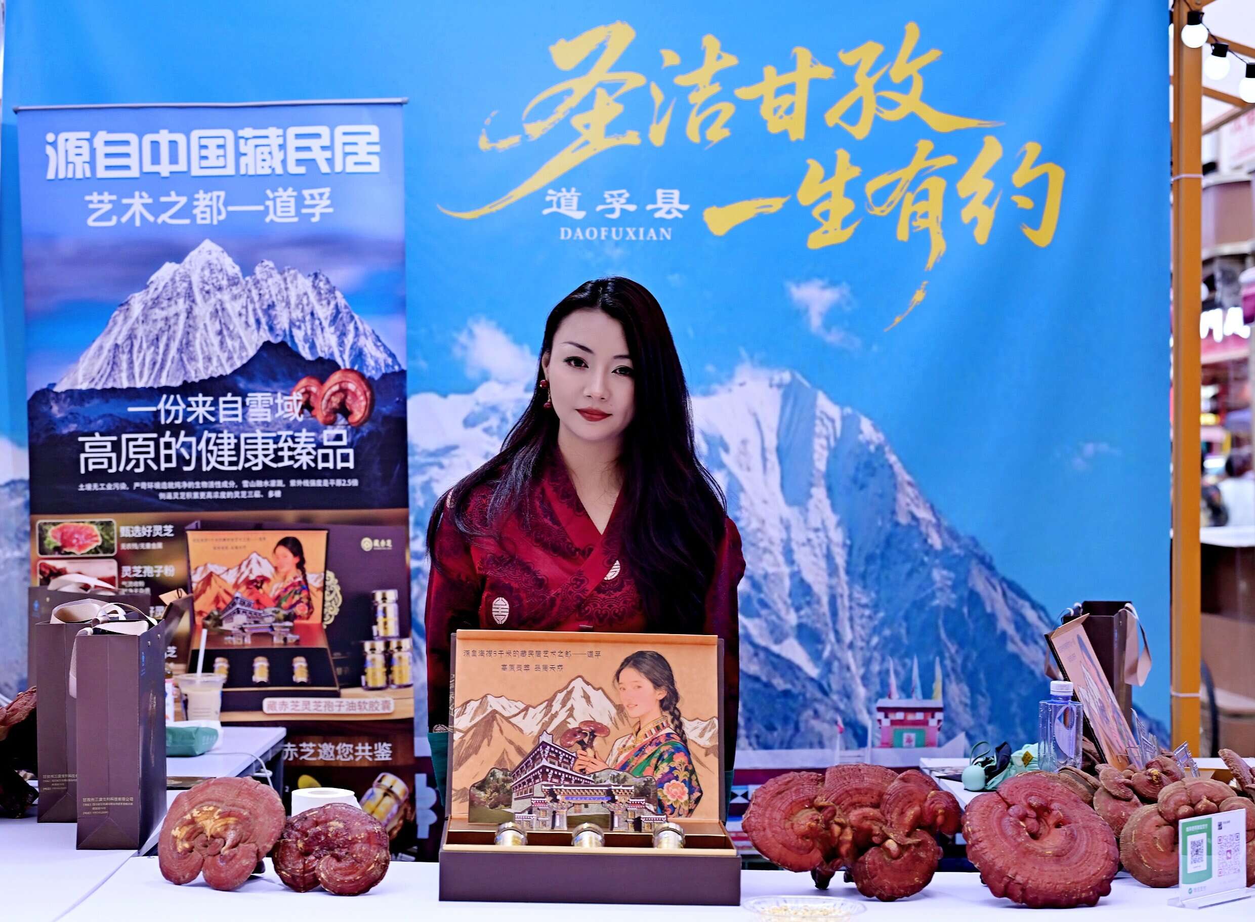 文档图片