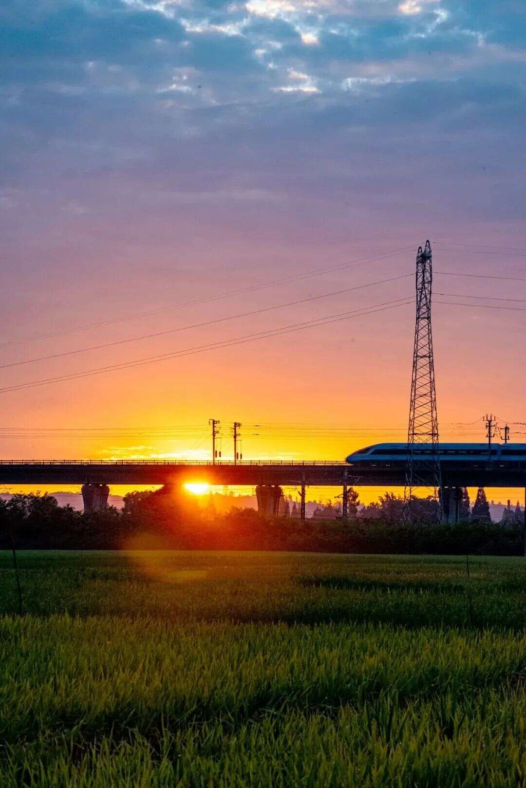文档图片